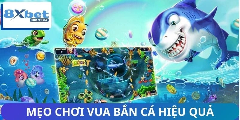 Vua Bắn Cá - Nâng Cao Kỹ Năng, Tối Ưu Hóa Chiến Lược 8XBET 3 Kinh nghiệm chinh phục hình thức vua săn cá